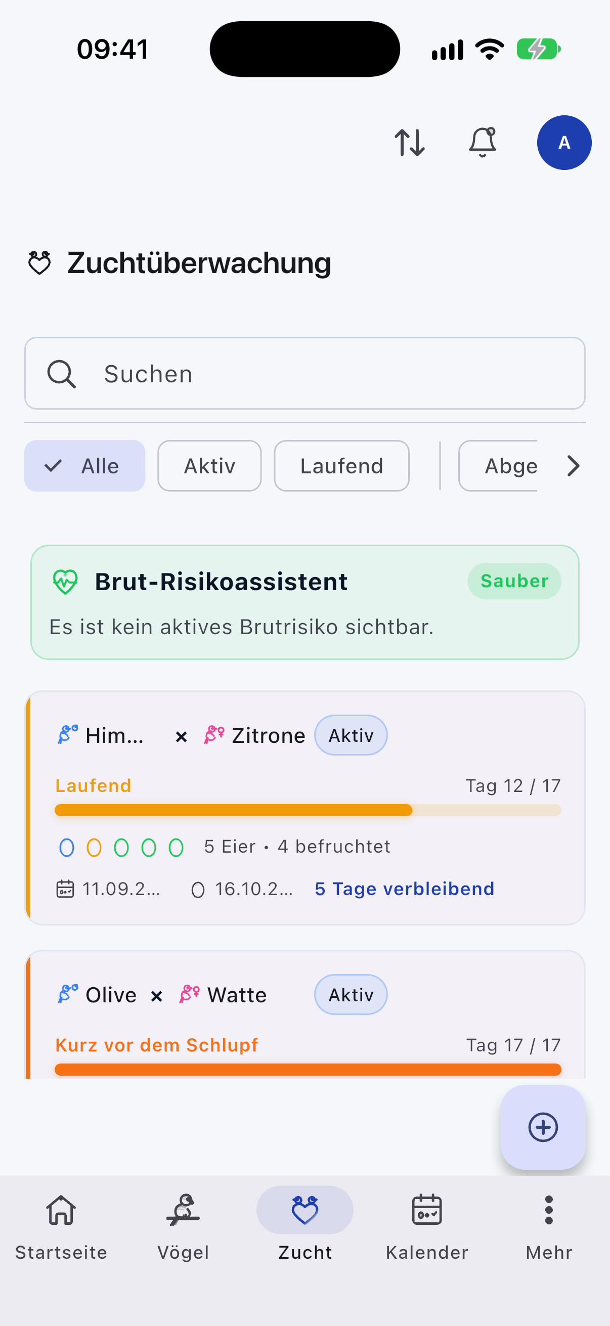 Zuchtübersicht in der App