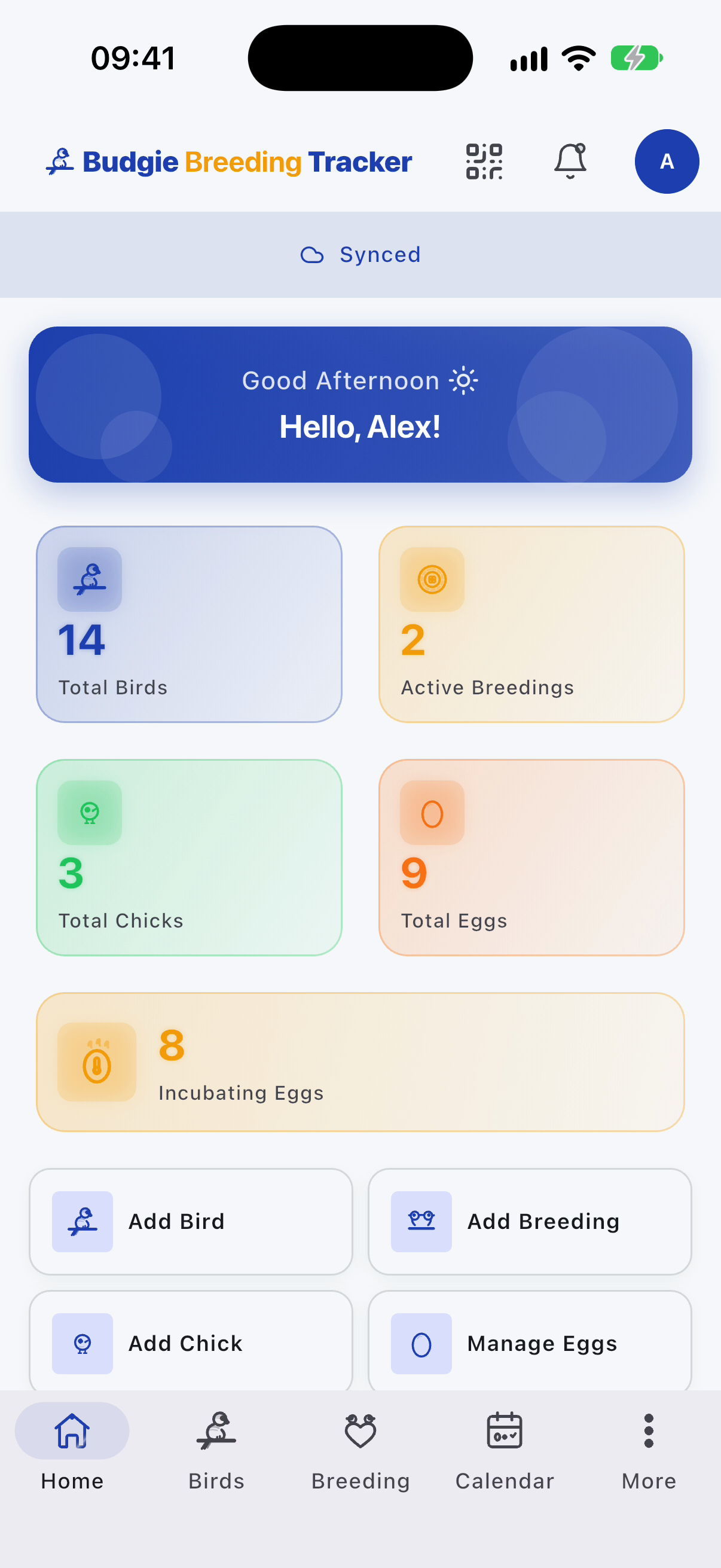 BudgieBreedingTracker dashboard showing birds, breeding, chicks and eggs